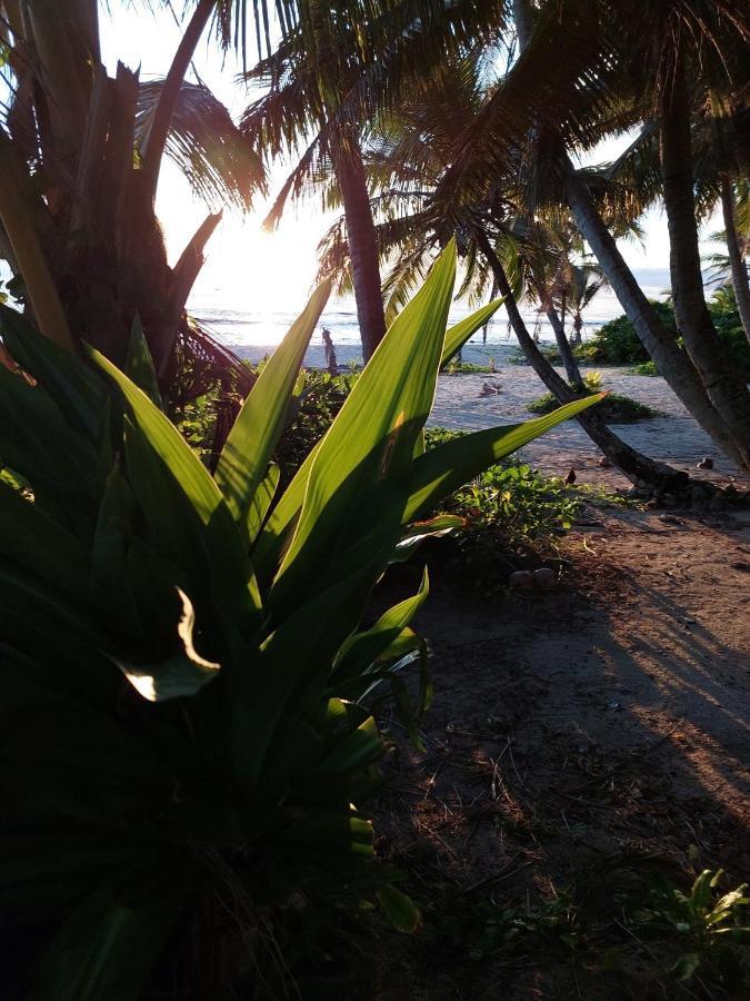 Appartamento Barefoot Base Tupapa Rarotonga Esterno foto